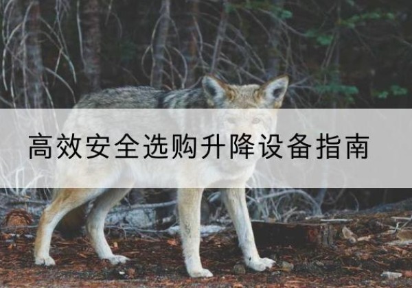 翁牛特旗升降货梯厂家推荐-*安全选购升降设备指南
