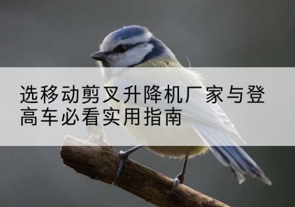 翁牛特旗电动升降机厂家-选移动剪叉升降机厂家与登高车必看实用指南