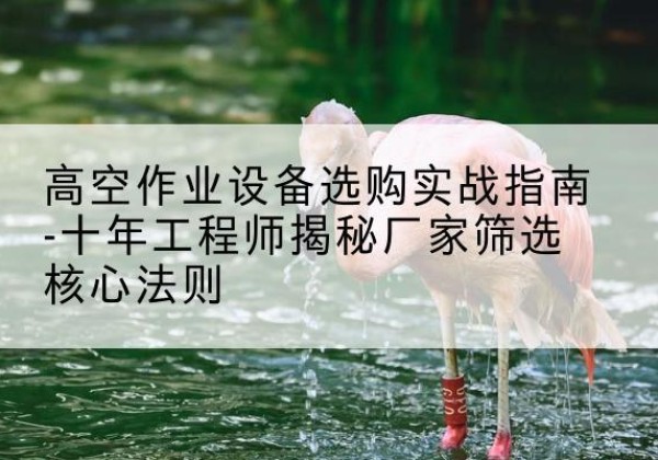 翁牛特旗剪叉式升降机厂家-高空作业设备选购实战指南-十年工程师揭秘厂家筛选核心法则